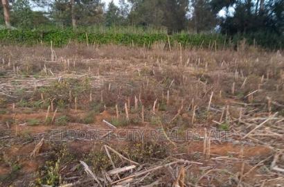 5 Acres Merewet With Title of Five.
