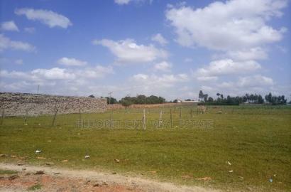 1/4 Plot Sogomo Along the Fence UOE