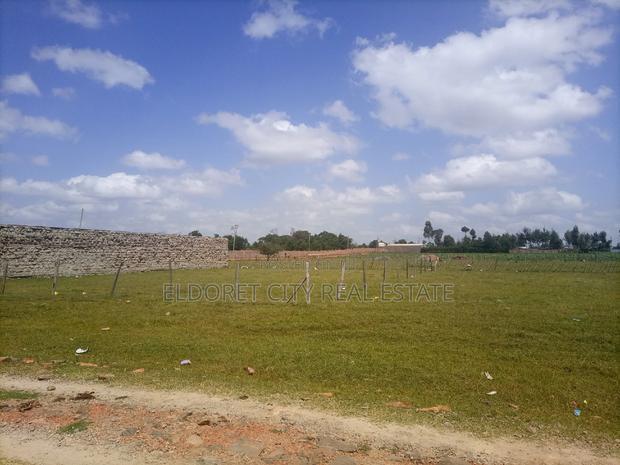 1/4 Plot Sogomo Along the Fence UOE