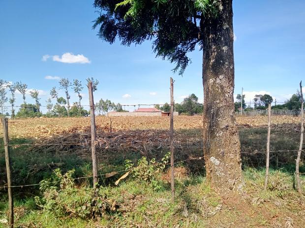 4 Acres Chebarus Ilula With Title.