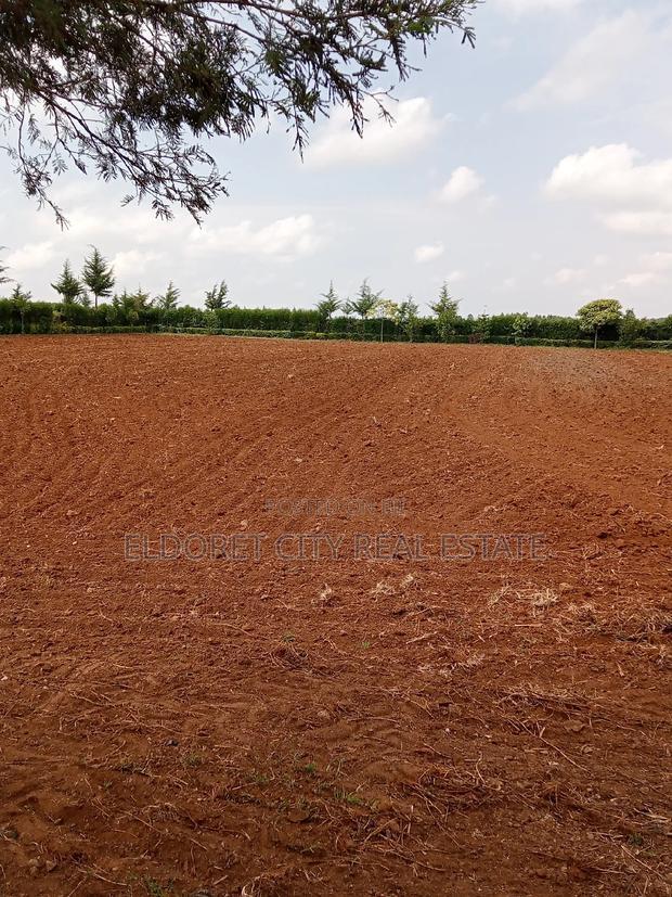 1.5 Acres Kuinet Ideal for Residential