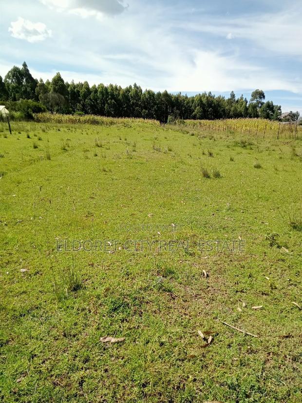 1/2 Acre Rolyton Near Madonna With Title