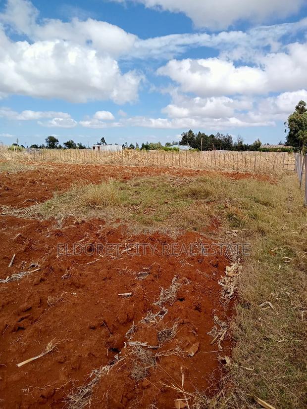 1/2 Acre Plot Kuinet With Title
