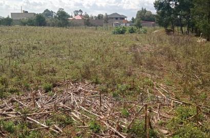 1/4 Plot Plus an 1/8 Plot One Title Kiplombe.