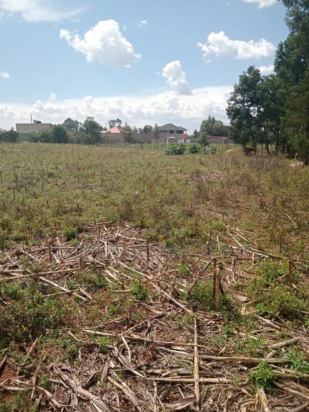 1/4 Plot Plus an 1/8 Plot One Title Kiplombe.