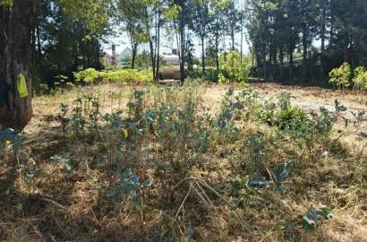 1/2 Acre Lower Elgonview With Title.