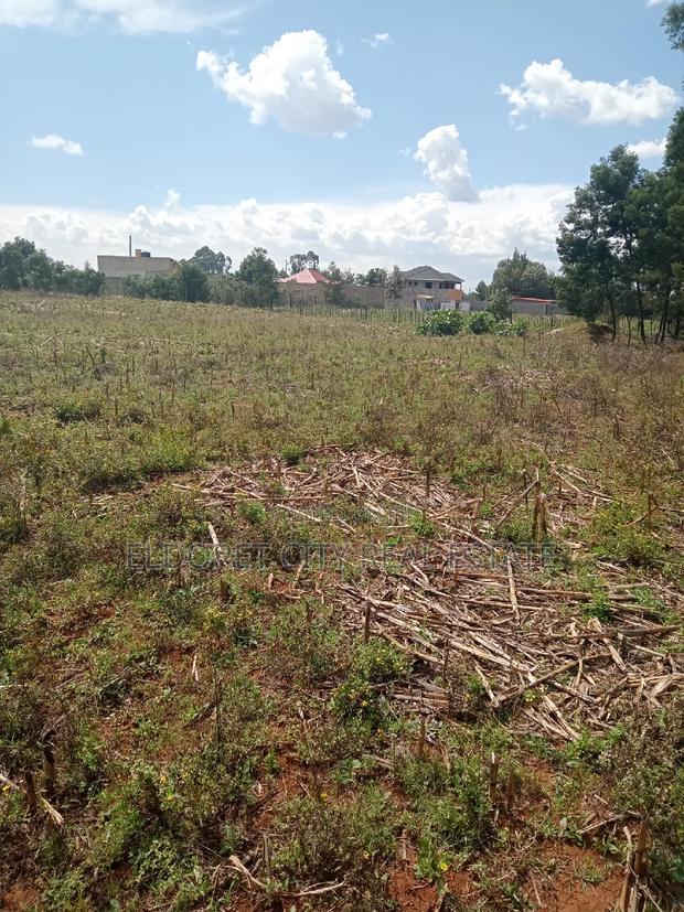 1/4 Plot Plus an 1/8 Plot One Title Kiplombe.