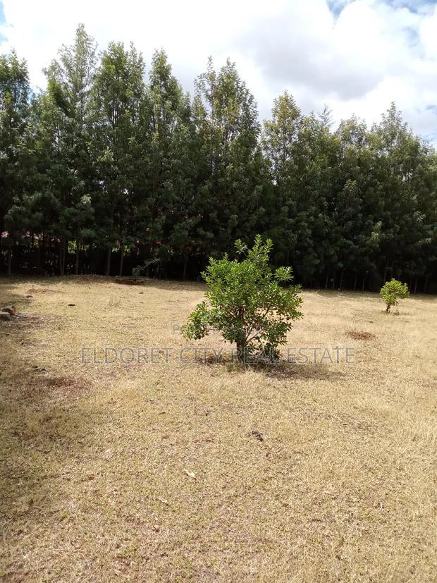 1/2 Acre Kuinet With Title Ideal for Residential