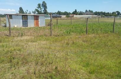 1/8 Plot Kimumu Cheparus With Title