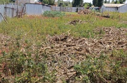 1/4 Plot Kimumu Chebarus With Title