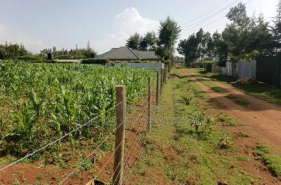 1/2 Acre Rolyton With Title.