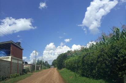 1/4 Plot Annex 150 Metres From Tarmac
