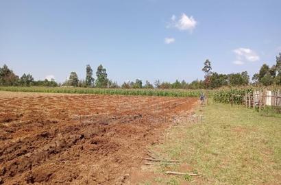 10 Acres Naiberi With Title Around 1.5km From Tarmac