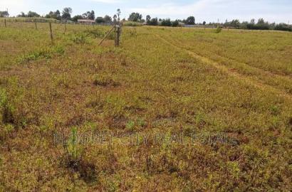 1/4 Plot Marura With Title Less Than 500metres From Tarmac