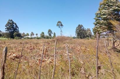 1/8 Plot Before Ilula Center