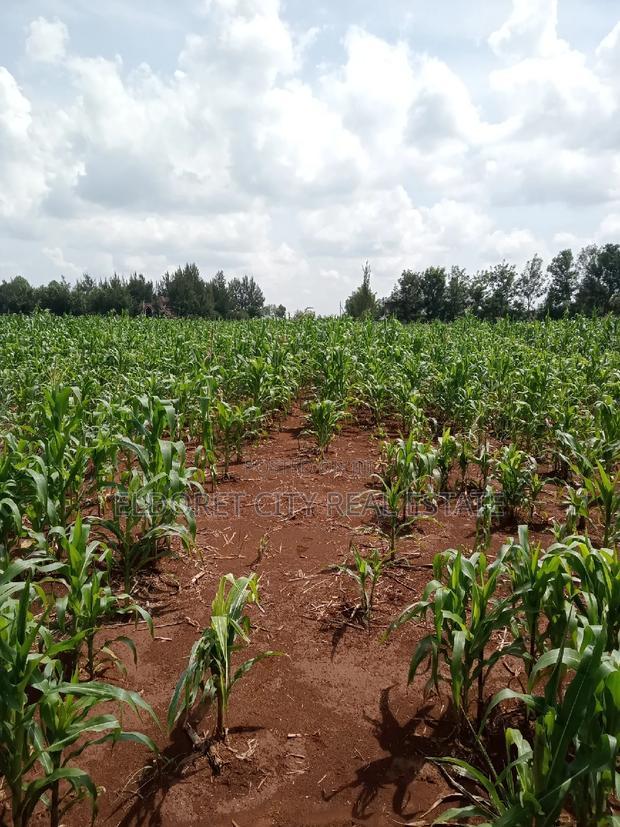 One Acre Elgonview Upper With Title