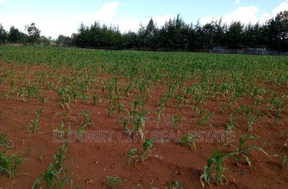 4 Acres Cheplasgei With Title