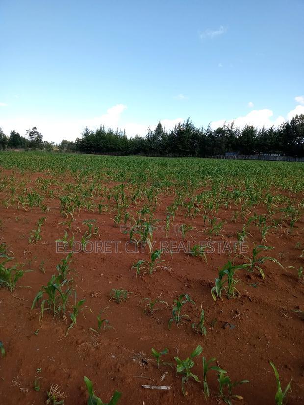 4 Acres Cheplasgei With Title