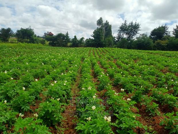 6 Acre Prime Land in Cheplaske, Eldoret