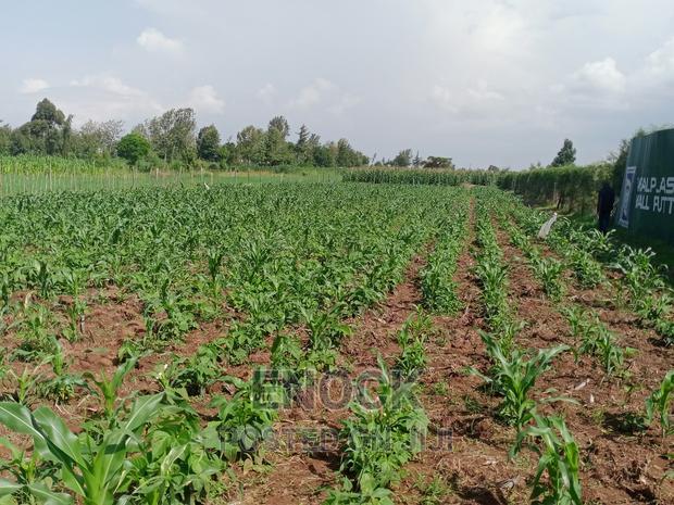 1/8acre 1/4acre Plots Touching Tarmac in Moiben Junction