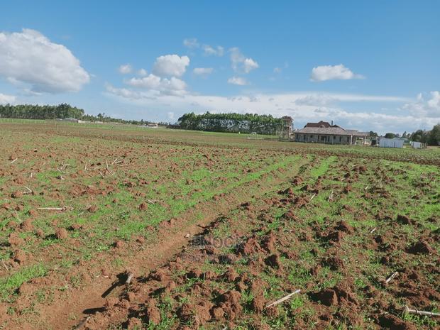 1/8acres and 1/4acres in Kibulgeny Kiplombe