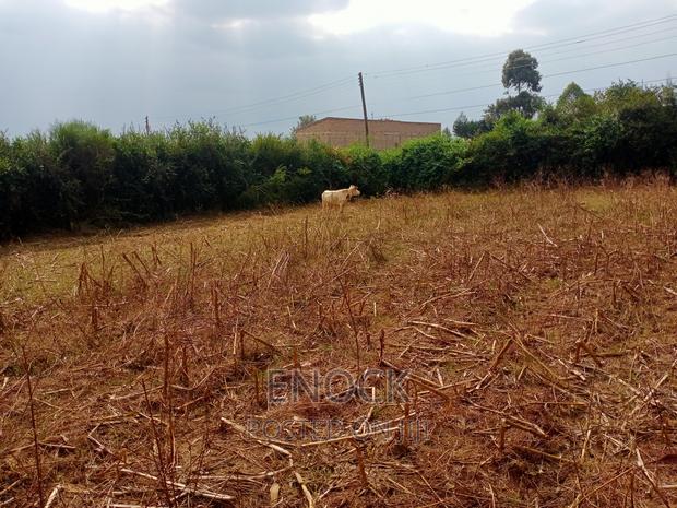 Prime Plot I'm Kapsoya Border Farm
