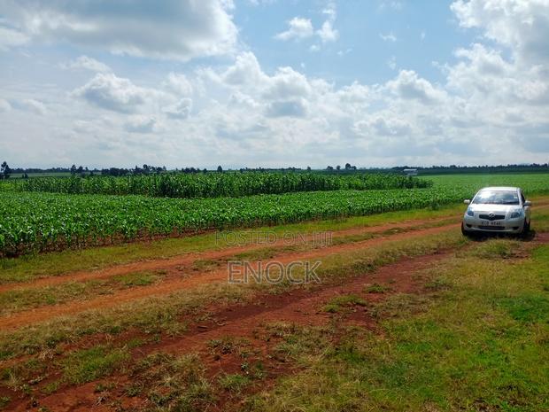 5 Acre Land for Sale in Tugen Estate,Moiben