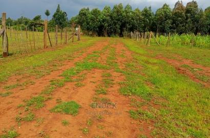 1/4 and 1/8acre Plot for Sale in Mwiruti Yamumbi Near Kipken