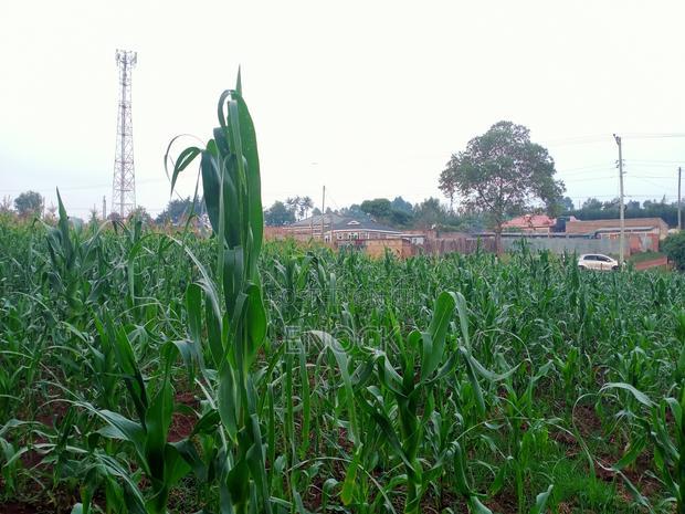 Prime 1/4acre Land for Sale in Kipkorgot, Eldoret