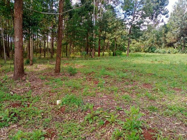 Prime Plots in Kapseret, Eldoret