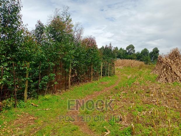 1/4acre Land for Sale in Outspan - Ancilla