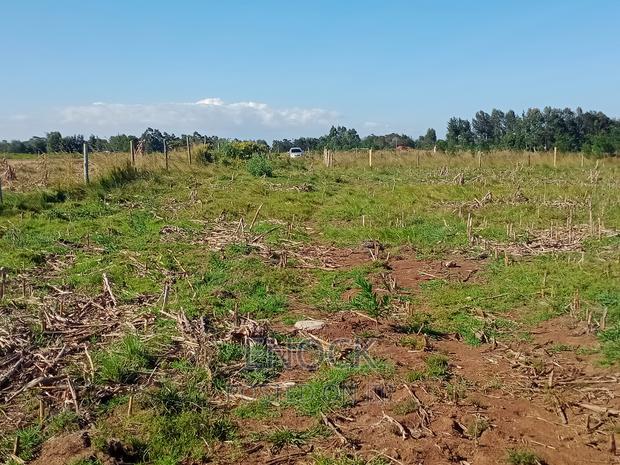 Prime Plots in Marura Centre