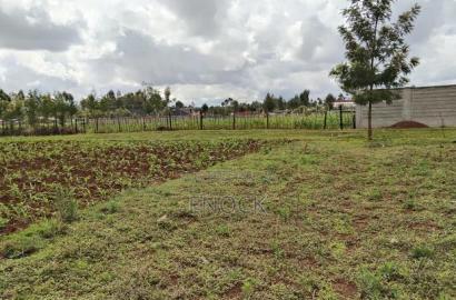 Prime Plots in Kibulgeny Kiplombe