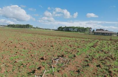 1/8acres and 1/4acres in Kibulgeny Kiplombe
