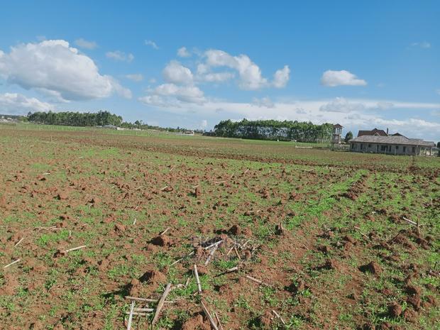 1/8acres and 1/4acres in Kibulgeny Kiplombe