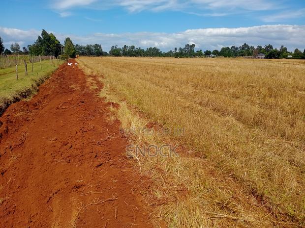Prime New Plots Near Sogomo University of Eldoret,
