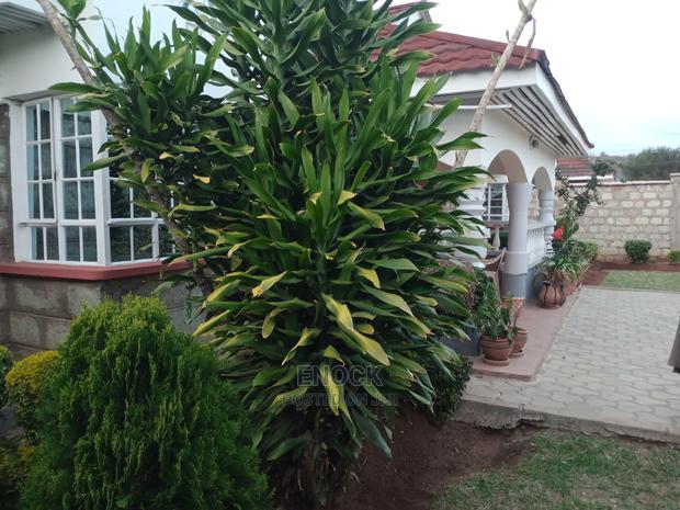 5bdrm Bungalow in Eldoville, Kapsoya for Sale