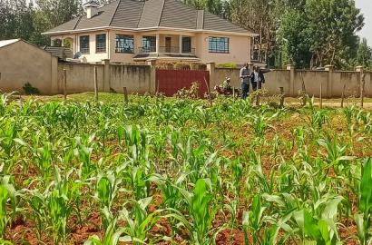 Prime Residential 1/8acre Plots in Kiplombe