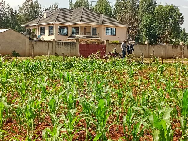 Prime Residential 1/8acre Plots in Kiplombe