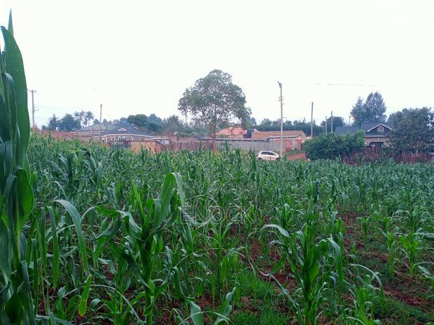 Prime 1/4acre Land for Sale in Kipkorgot, Eldoret
