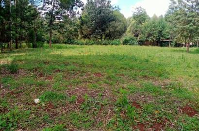 Prime Plots in Kapseret, Eldoret
