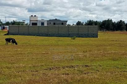 3 Prime 1/4acre Plots in Racecourse, Eldoret