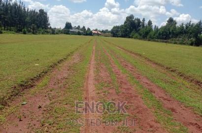 Very Good Residential Plots (1/8 1/4s in Kipkenyo, Eldoret