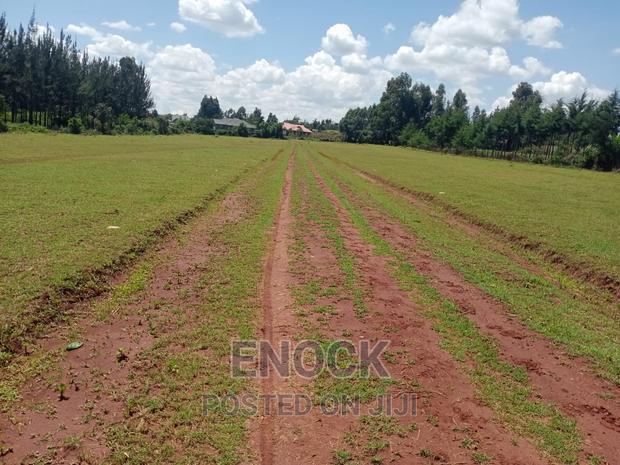 Very Good Residential Plots (1/8 1/4s in Kipkenyo, Eldoret