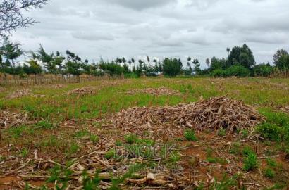 1/8acre Plots for Sale in Kiplombe Centre