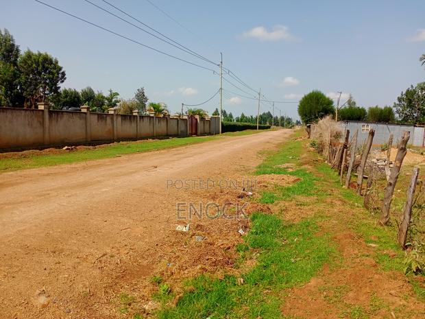 Prime Residential 1/8acre Plots in Kiplombe