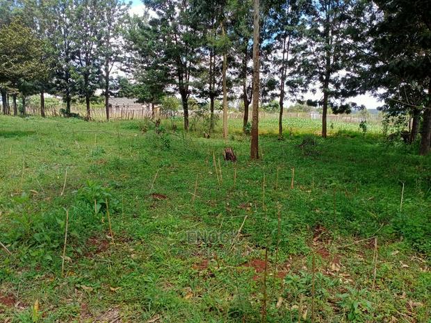 Prime Plots in Kapseret, Eldoret