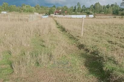 Deal Residential 1/8acre for Sale in Ilula