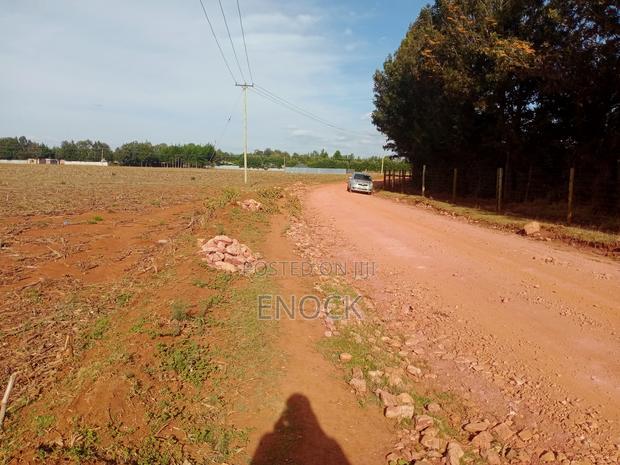 Prime Plots in Chepkanga Chemaluk