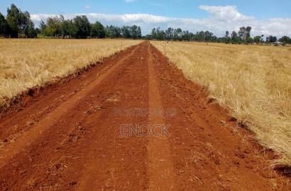 Prime New Plots Near Sogomo University of Eldoret,